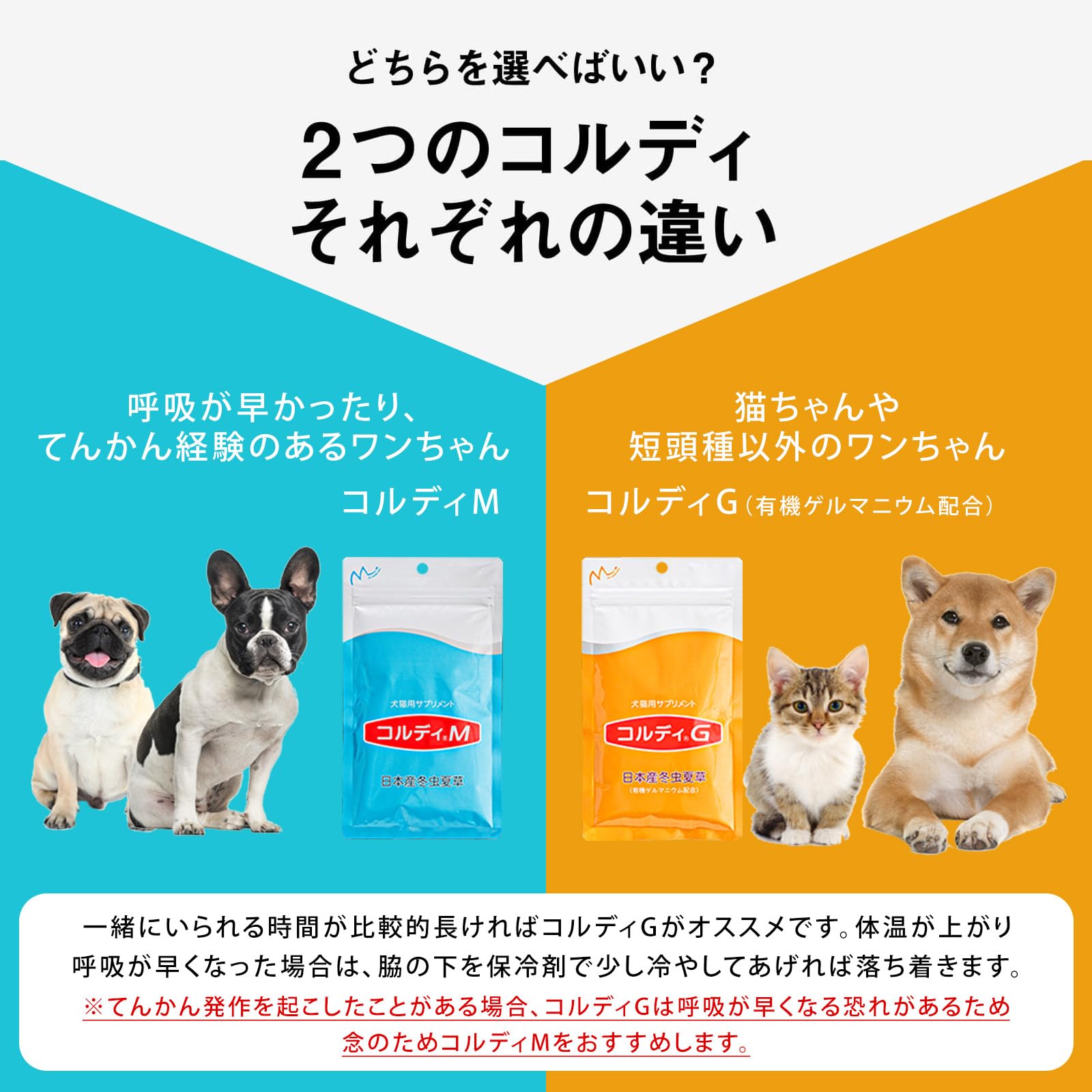 コルディM 100g 犬猫小動物用栄養補助食品 モノリス（ペット） 犬用 猫用 ペット用 サプリメント コルディM