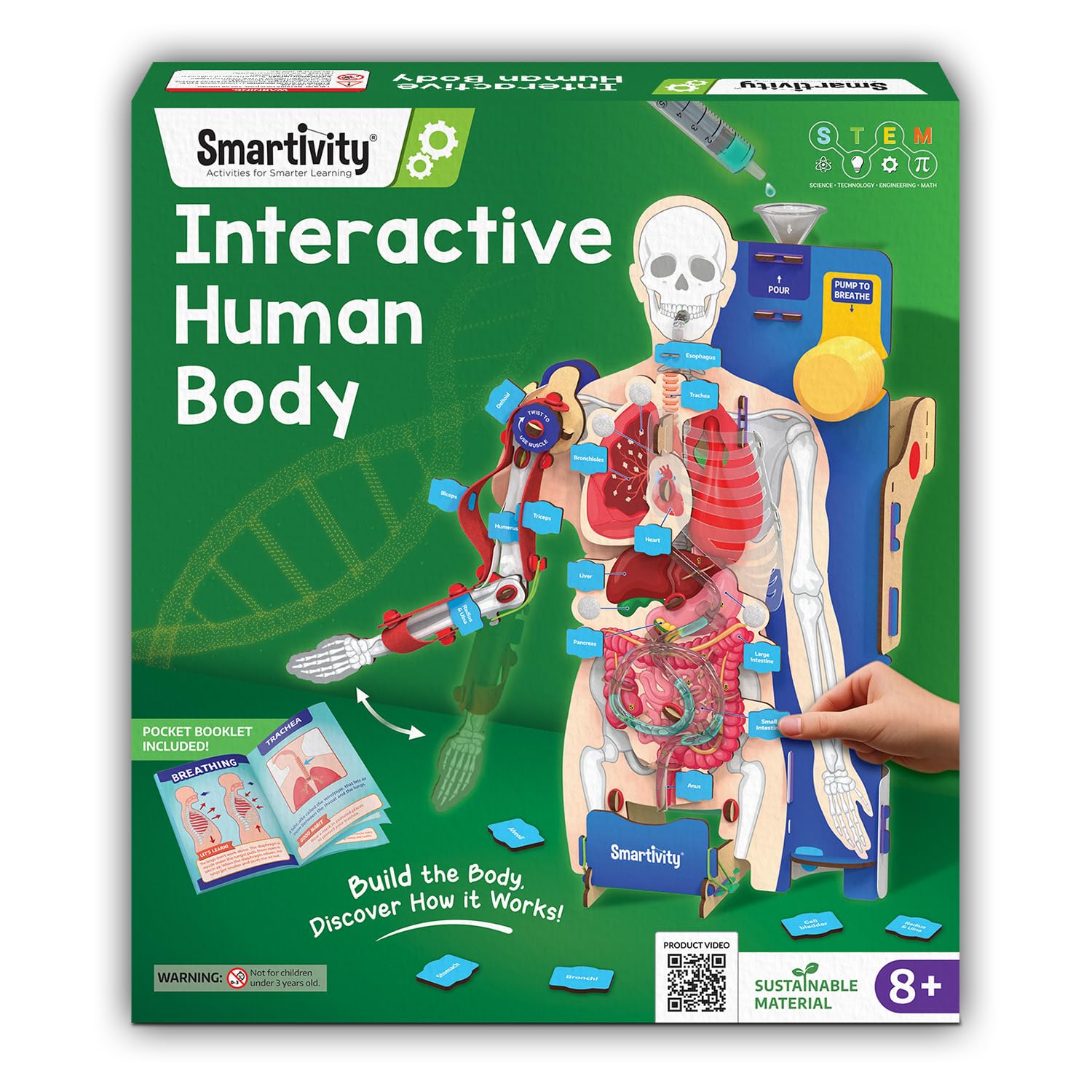 Smartivity Interactive Human Body Toy for Kids 8-14 Years | Body Organs & Functions | Birthday Gifts for Kids | Science Toys for 8,9,10,11,12,13,14 Years Old I STEM DIY Building Kit-image-17