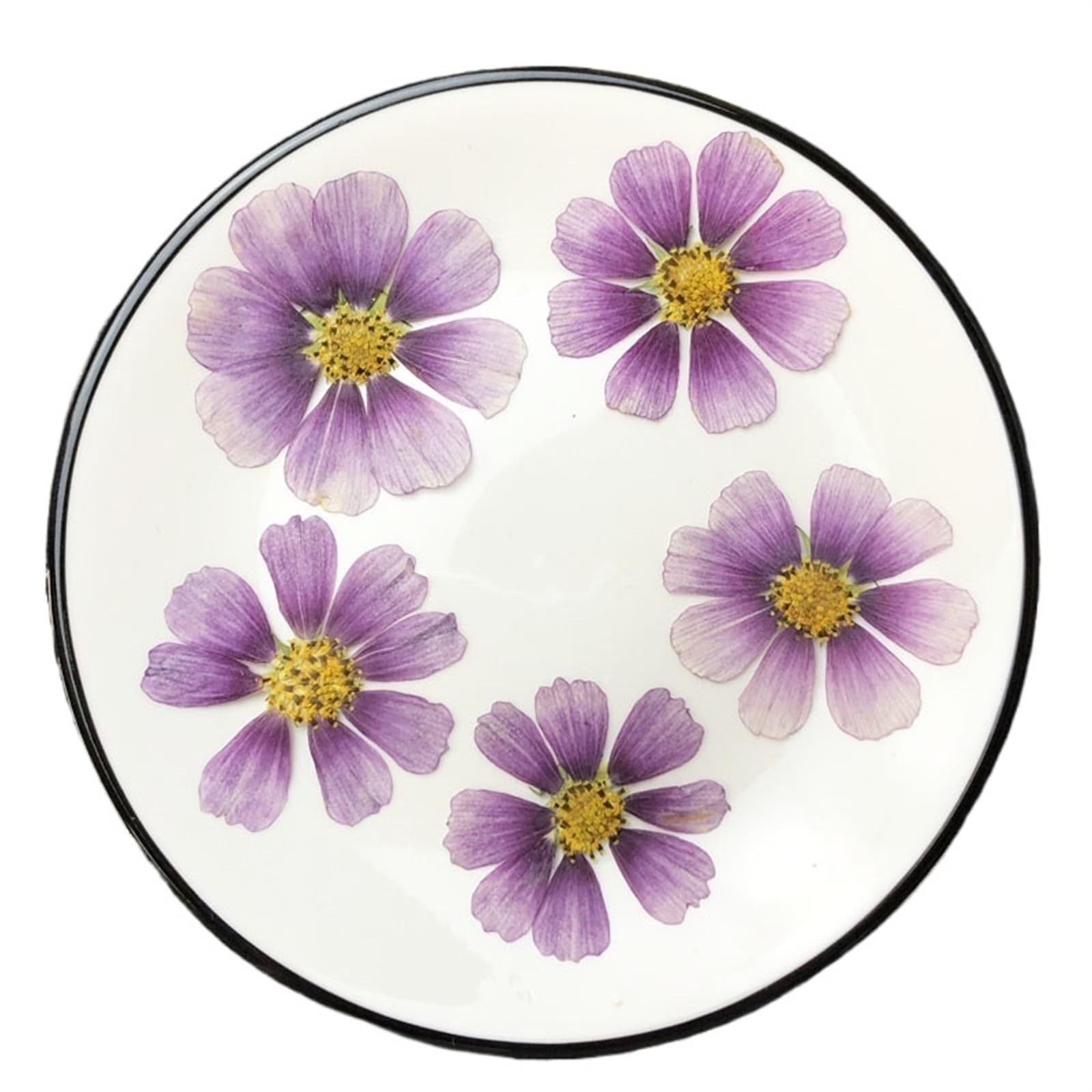 Blumen Gepresst Getrocknet 250 stücke Getrocknete Gedrückt 4-7cm Blume Pflanze Herbarbelege for Postkarte Foto Rahmen Schmuck Lesezeichen Handwerk DIY Getrocknete Blumen Deko(Color-3)