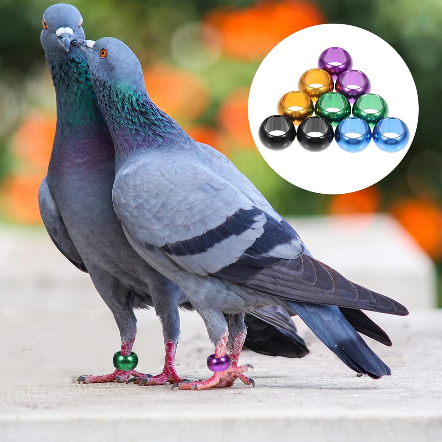 Colorful Aluminum Bird Leg Rings - 10pcs 0.80X0.80X0.60cm for Pigeons, Chickens, Parrots, and More