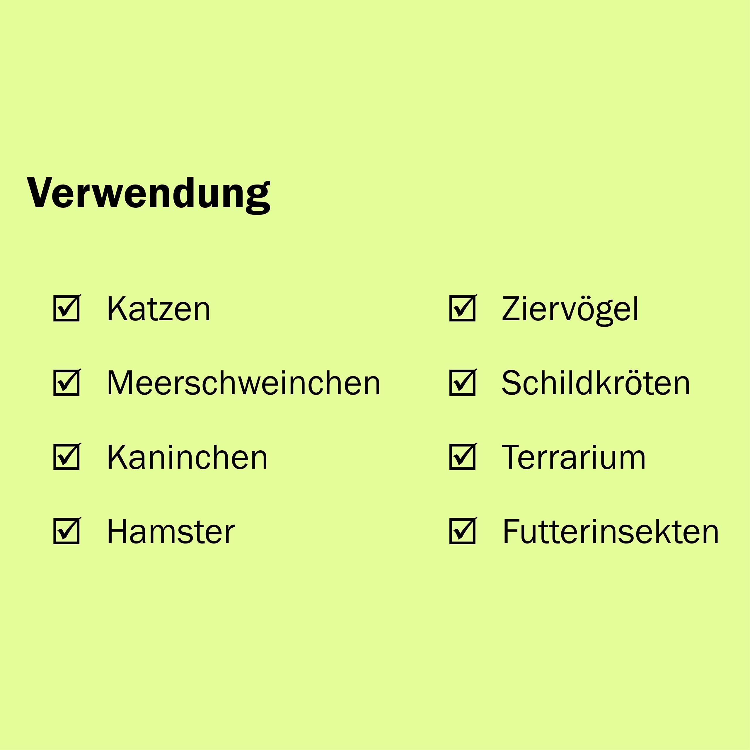 Bio Futterpflanzen im Topf (3 Stück) ║ BIOLAND-Qualität, garantiert frei von synthetischen Pflanzenschutzmitteln ║ Höhe mit Topf 12-30 cm ║ sofort gebrauchsfertig.