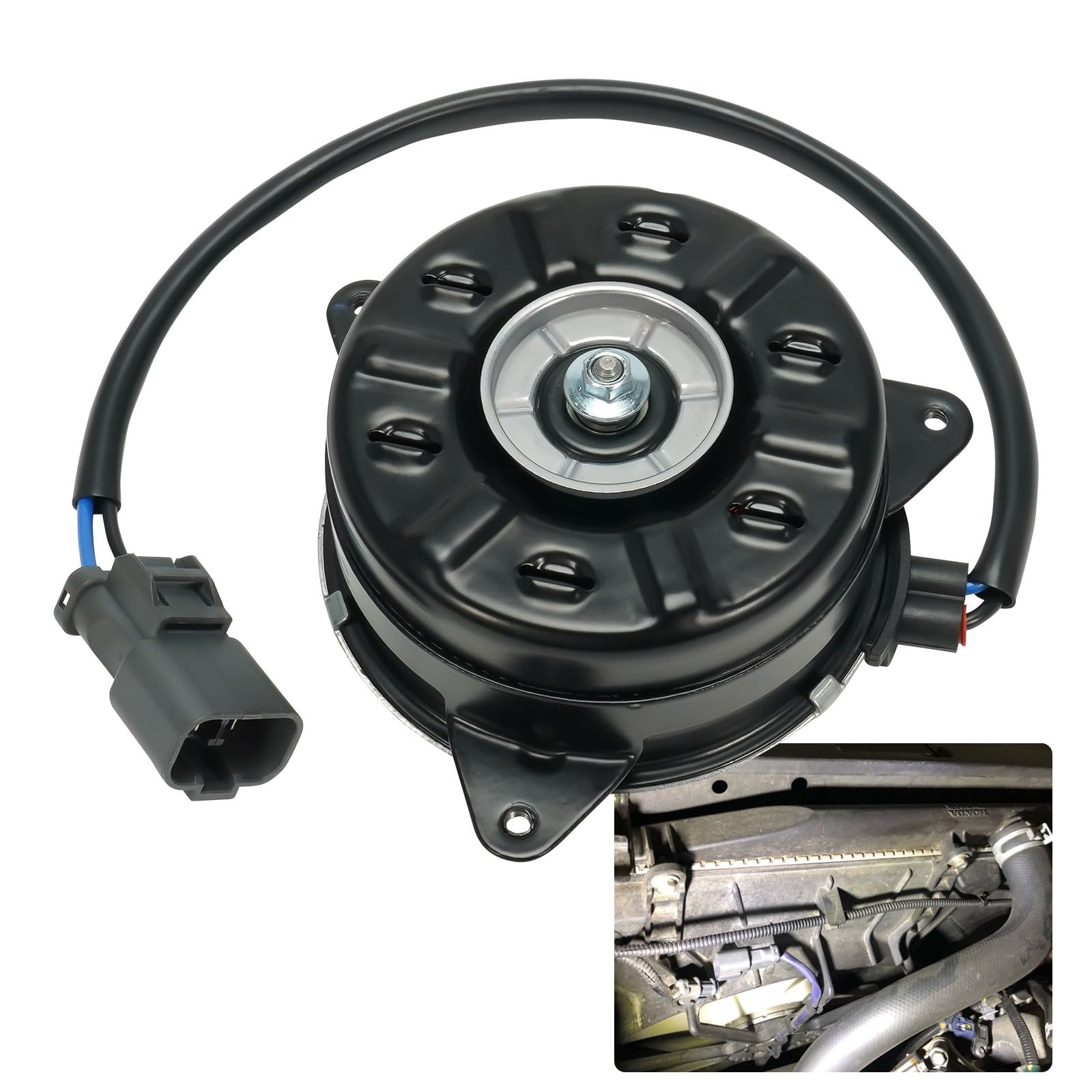 電気ヒーター momo DCモーターリビング扇風機（温度センサー搭載） PD（パワー