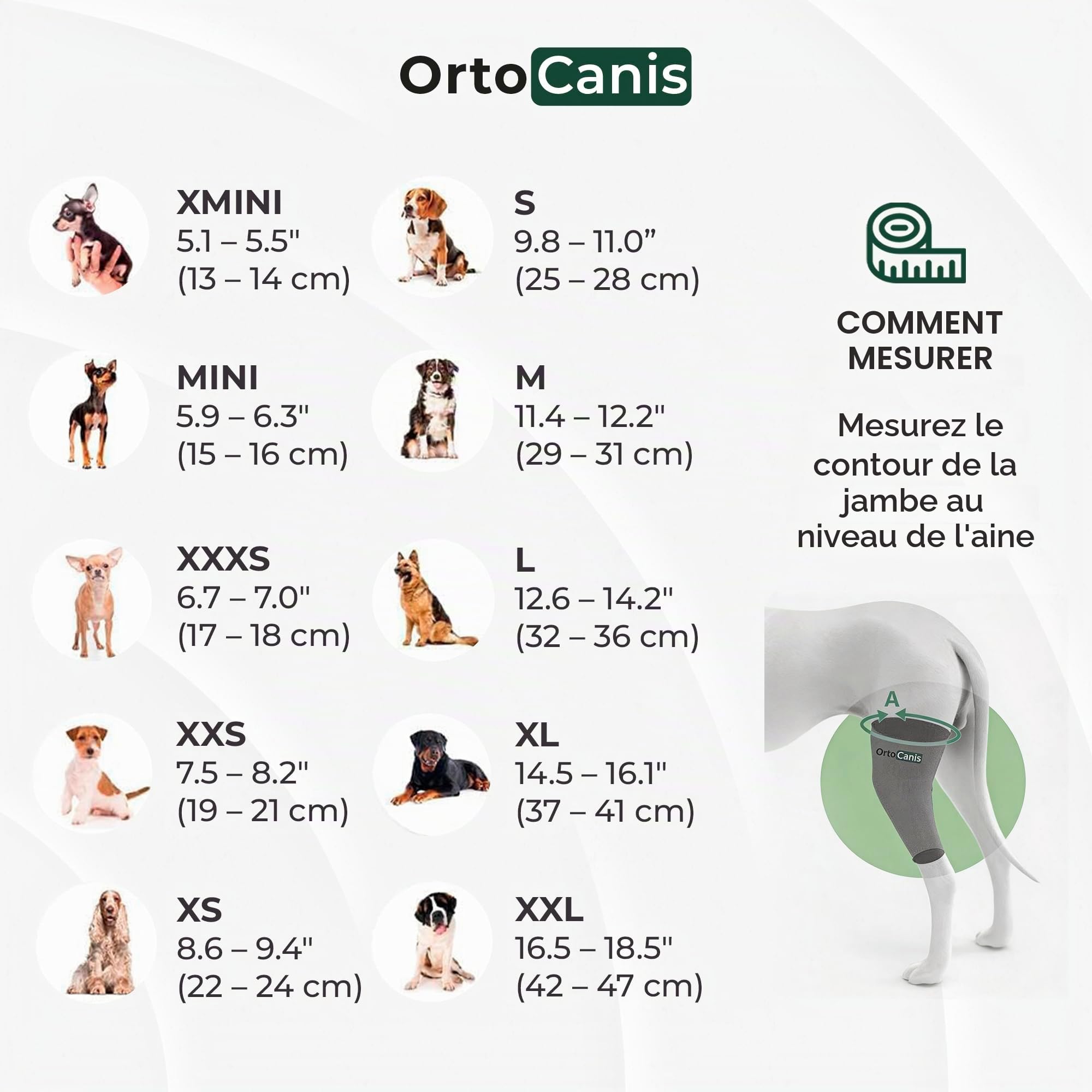 Ortocanis - Attelle Chien - Immobilisateur Genou pour Blessure - Rupture Ligament - Luxation Rotule - Patte Gauche - Taille L