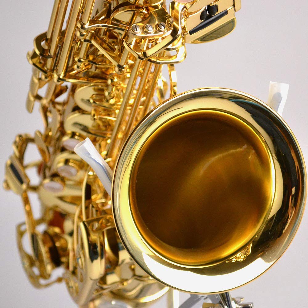Amazon.co.jp: YANAGISAWA A-WO1 アルトサックス ブラス製