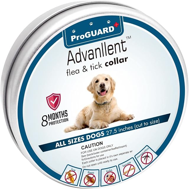 Advanllent Flea Collar for Dogs, Flea and Tick Treatment for Dogs, One Size Fits All, 27 inch, 8 Month Protection, 1Pack, Natural & Safe