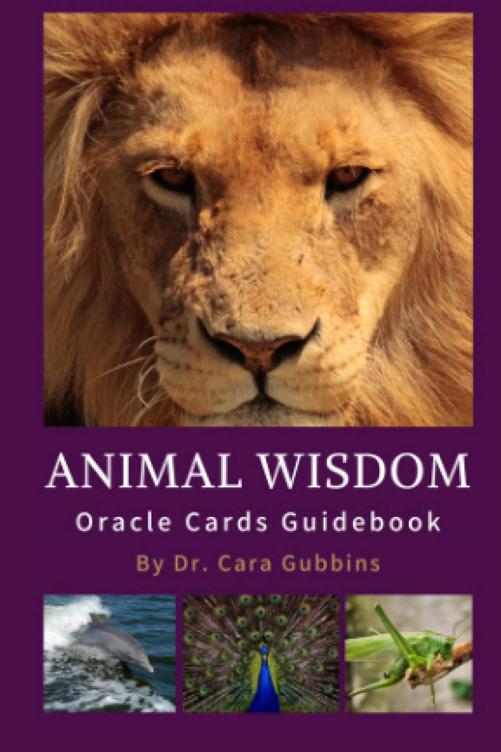 Animal Wisdom Oracle Cards Guidebook