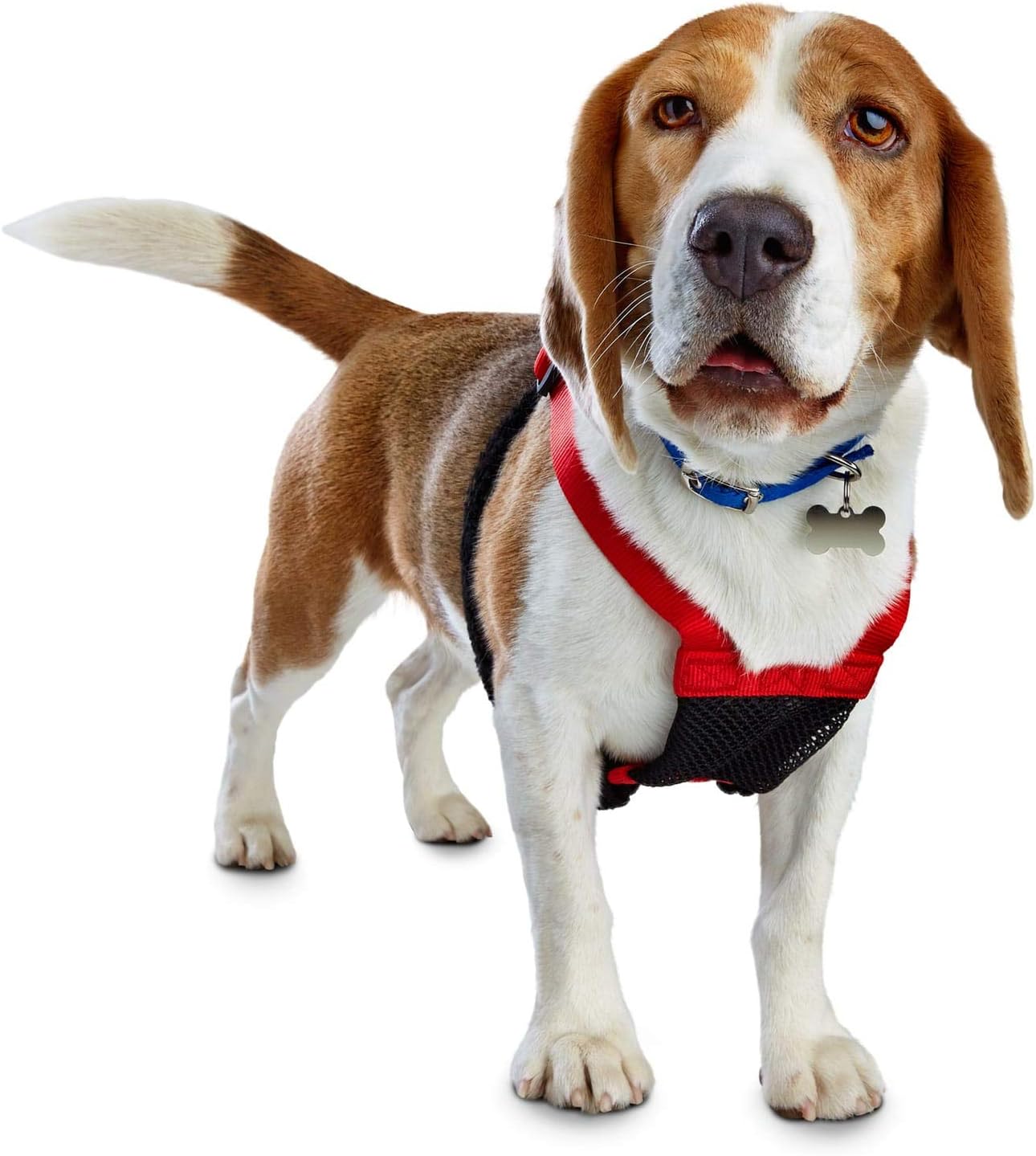 Petco Brand - Good2Go Red No Pull Dog Harness, Large