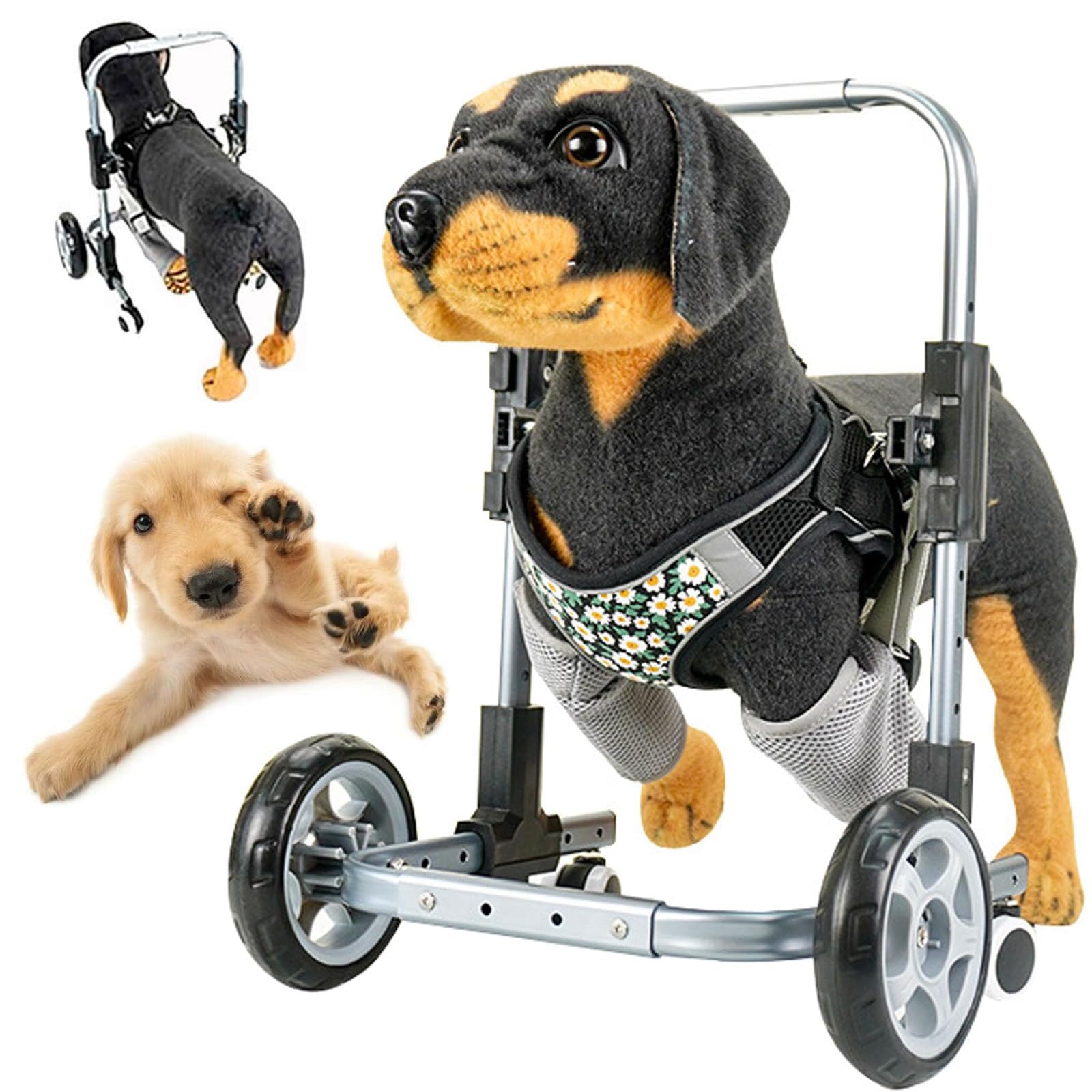Silla de ruedas para perros con lesión delantera: carro liviano M para recuperar su movilidad