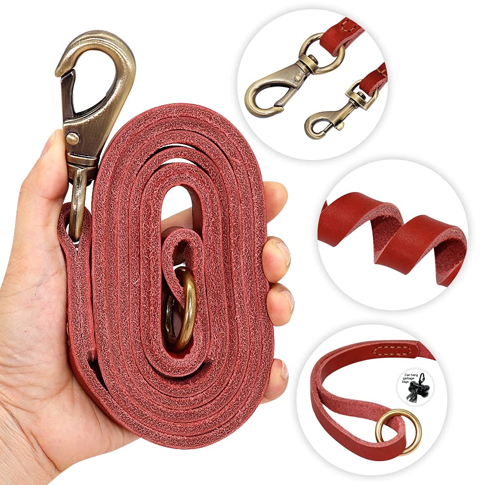 Collier personnalisé en Cuir pour Chien,Collier Personnalisé en Cuir,Cadeau Personnalisable,Collier réglable pour Animal de Compagnie pour Chiens de Petit Moyen Grand (Red Set,L)
