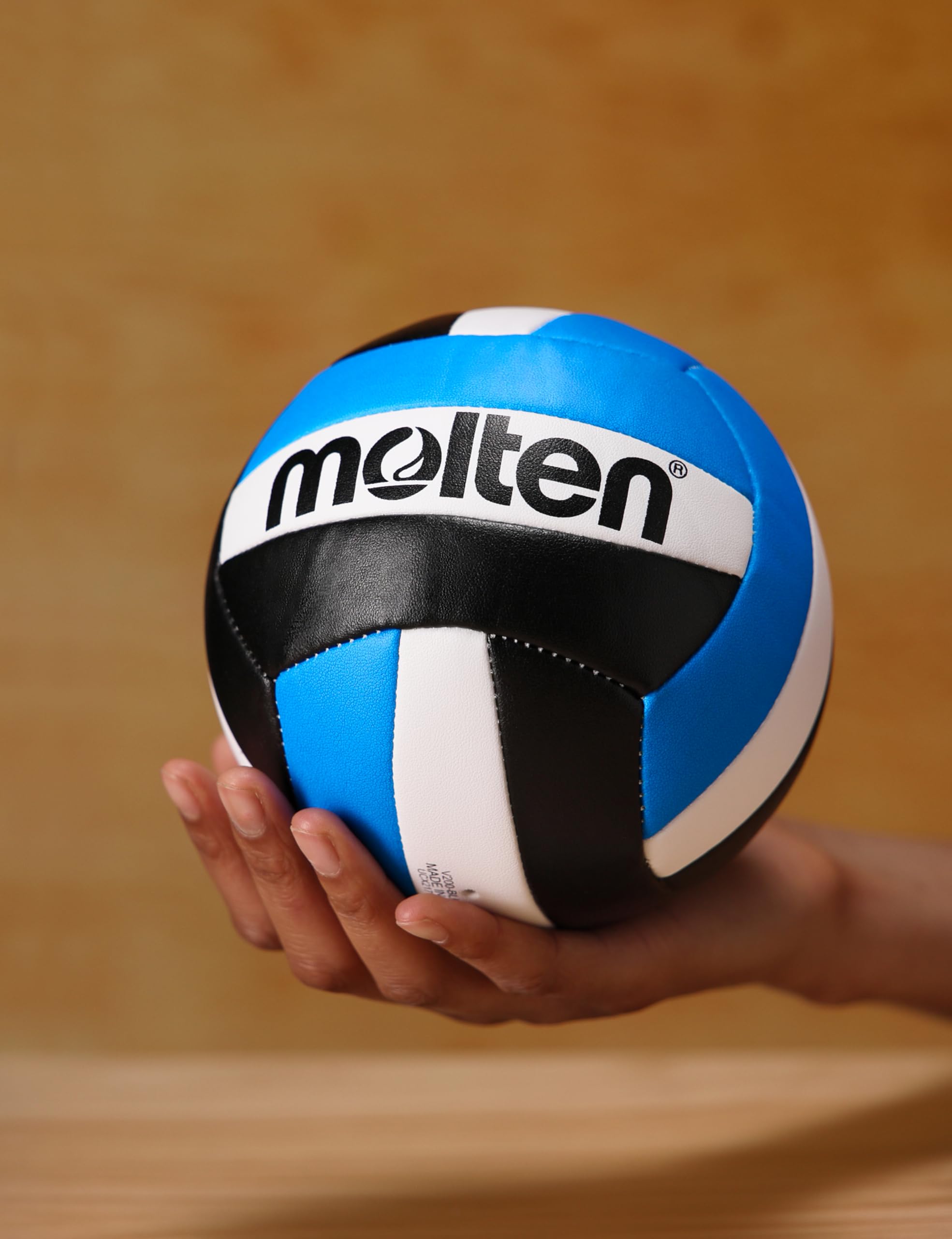 Molten Mini Volleyball