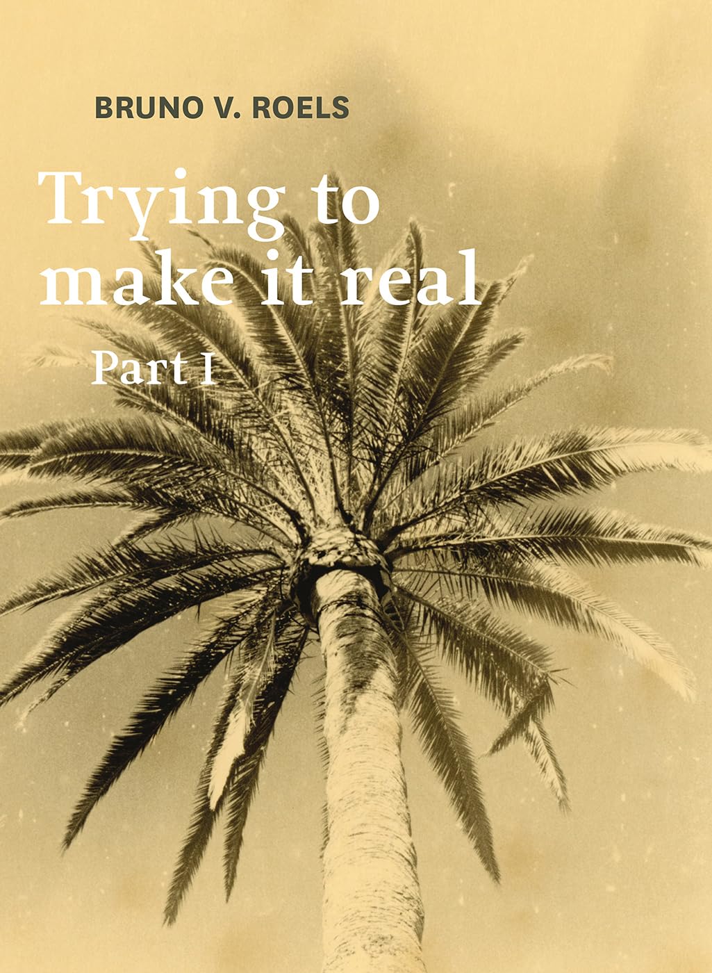 Trying to Make It Real Bruno V. Roels livre photo contemporain monographie art argentique