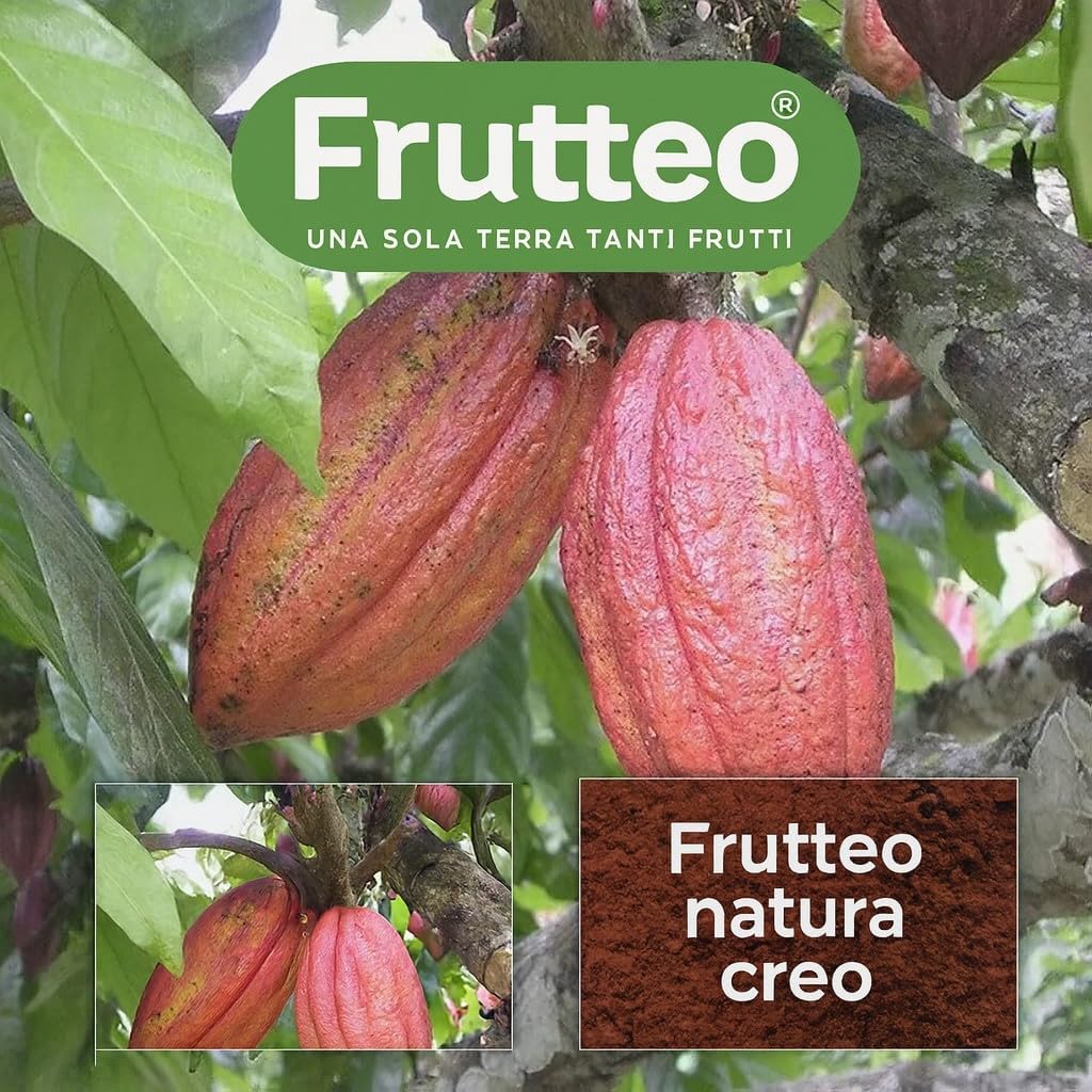 Cocoa Powder 1 kg - Raw 100% Madagascar - No Added Sugar | 3 71p0ViHH sL. AC SL1024 -