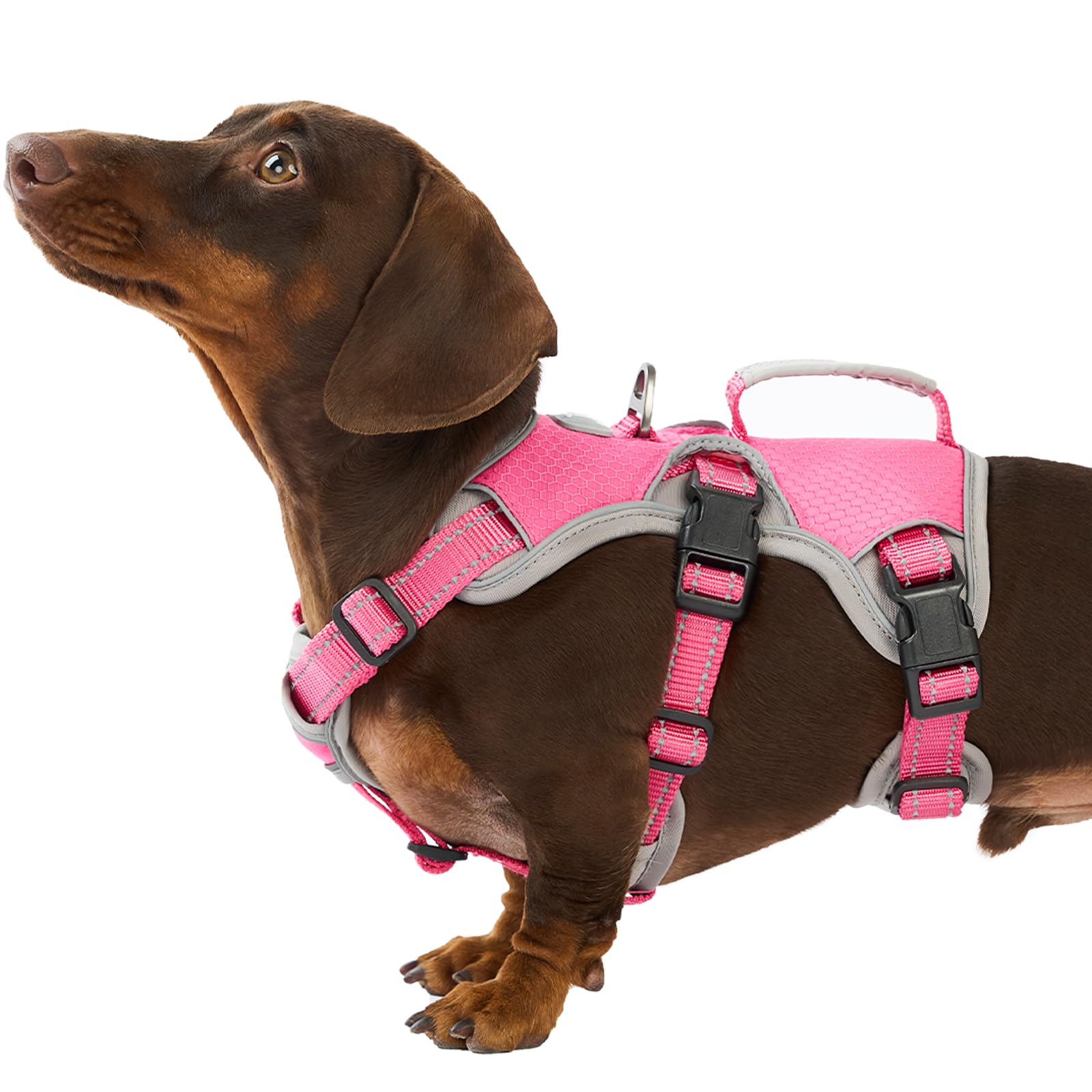 Huntboo Escape Proof Dog Harness, Escape Artist Harness, Reflective Dog Harness with Handle, Durable,Adjustable Vest for Small Medium Large Dogs Walking, Training, and Running Gear(Rose Red, S)