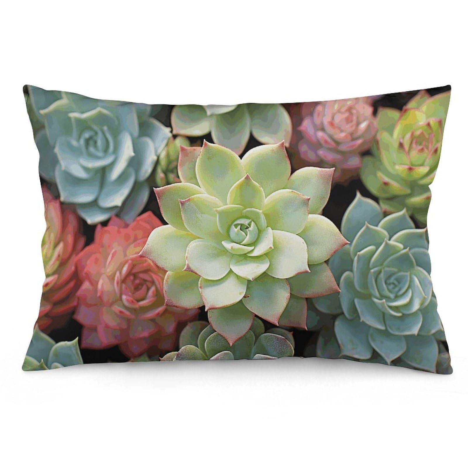 NTVOWPZO 2 Pack Decoration Throw Pillow Covers 12 "x20 Pillowcases Covers Cactus Succulents Pillowcases Modern Farmhouse Home Decor Sofa Cushions Covers for Couch Bed Living Room