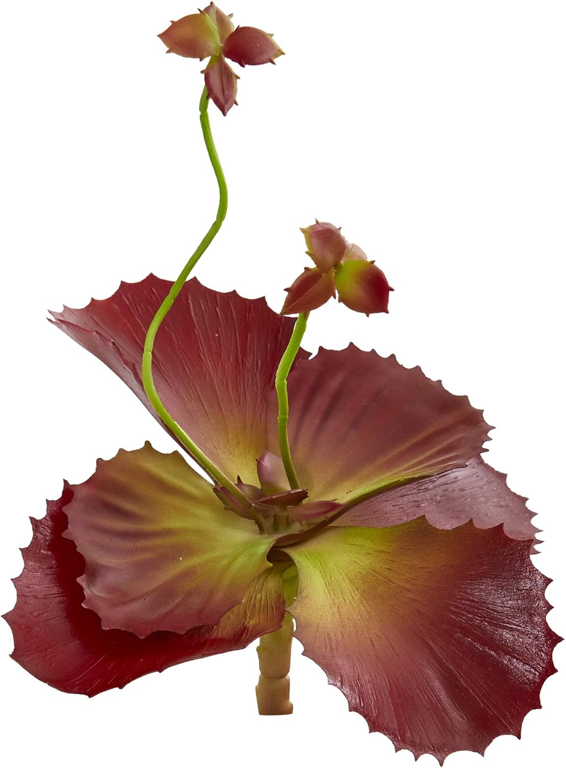 Nearly Natural Mini 10in. Succulent Artificial (Set of 12) Silk Plants, Burgandy