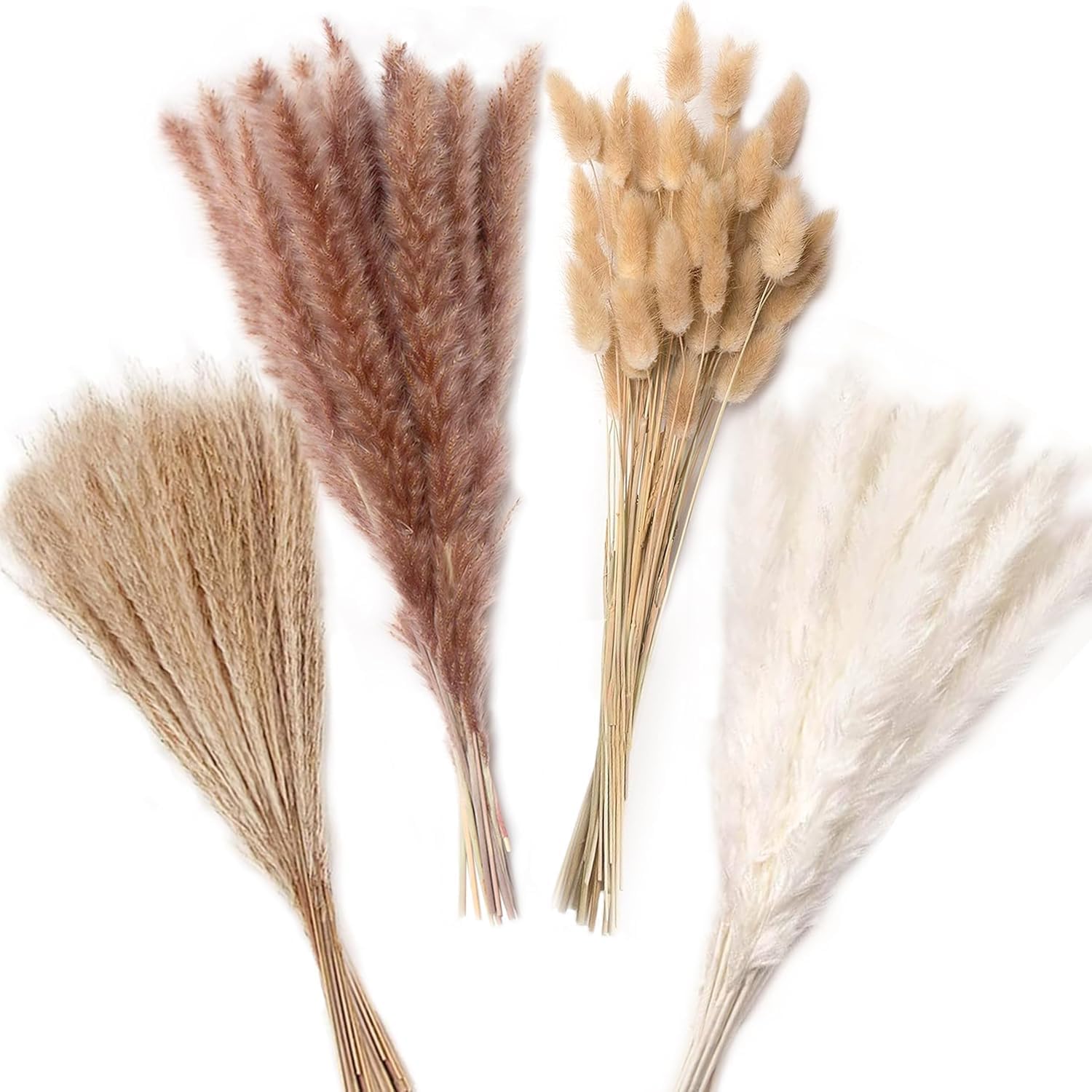 Home Decor 100 Pcs Set 17inch Natural Dried Pampas Grass,Real Rabbit Bunny Tail,Reed Pampas,Boho Bouquet,Artificial Flowers Decor for Table Vase Home Decoration. (100 Pcs Dried Flower Set)-image-33