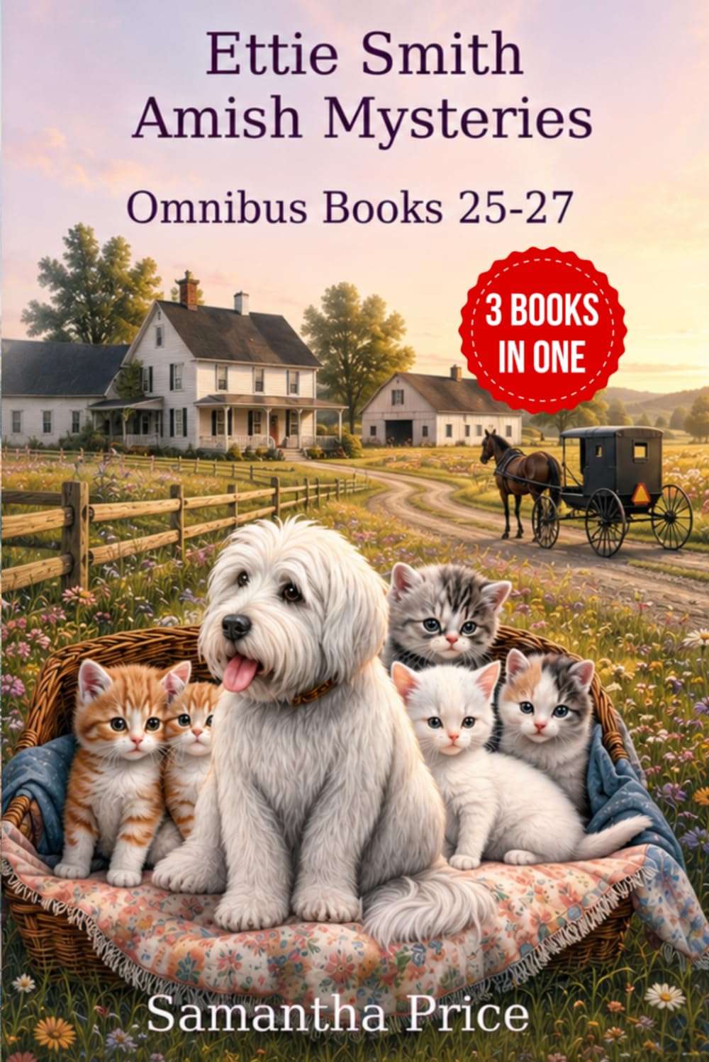 Ettie Smith Amish Mysteries Omnibus: Volume 9: Amish Mishaps and Murder: A Deadly Amish Betrayal: Amish Buggy Murder: Amish Cozy Mysteries