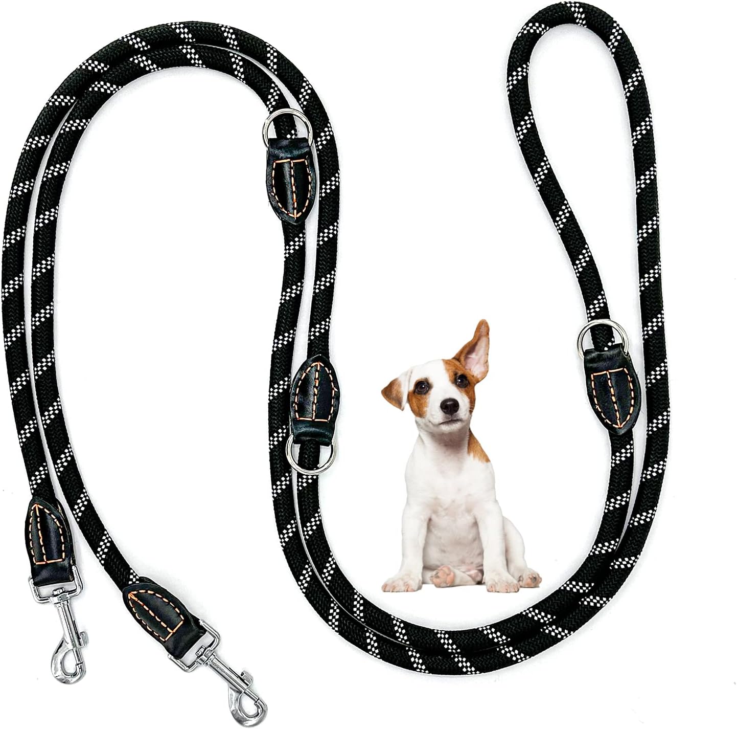 PetSafe Two Point Control Leash, Padded and Reflective Nylon Leash Converts to
