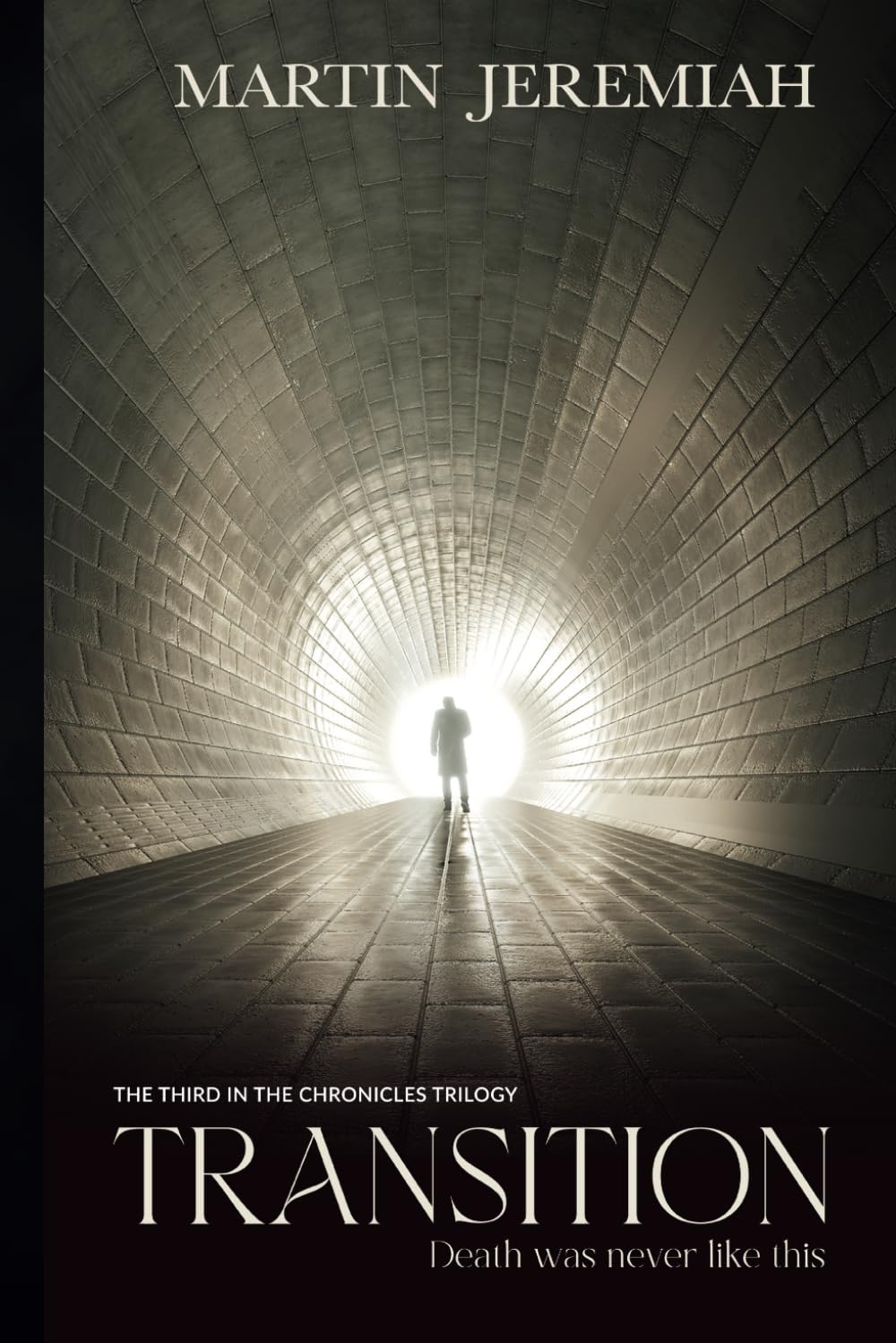 TRANSITION: You are looking in all the wrong places...: 3 (THE CHRONICLES TRILOGY)