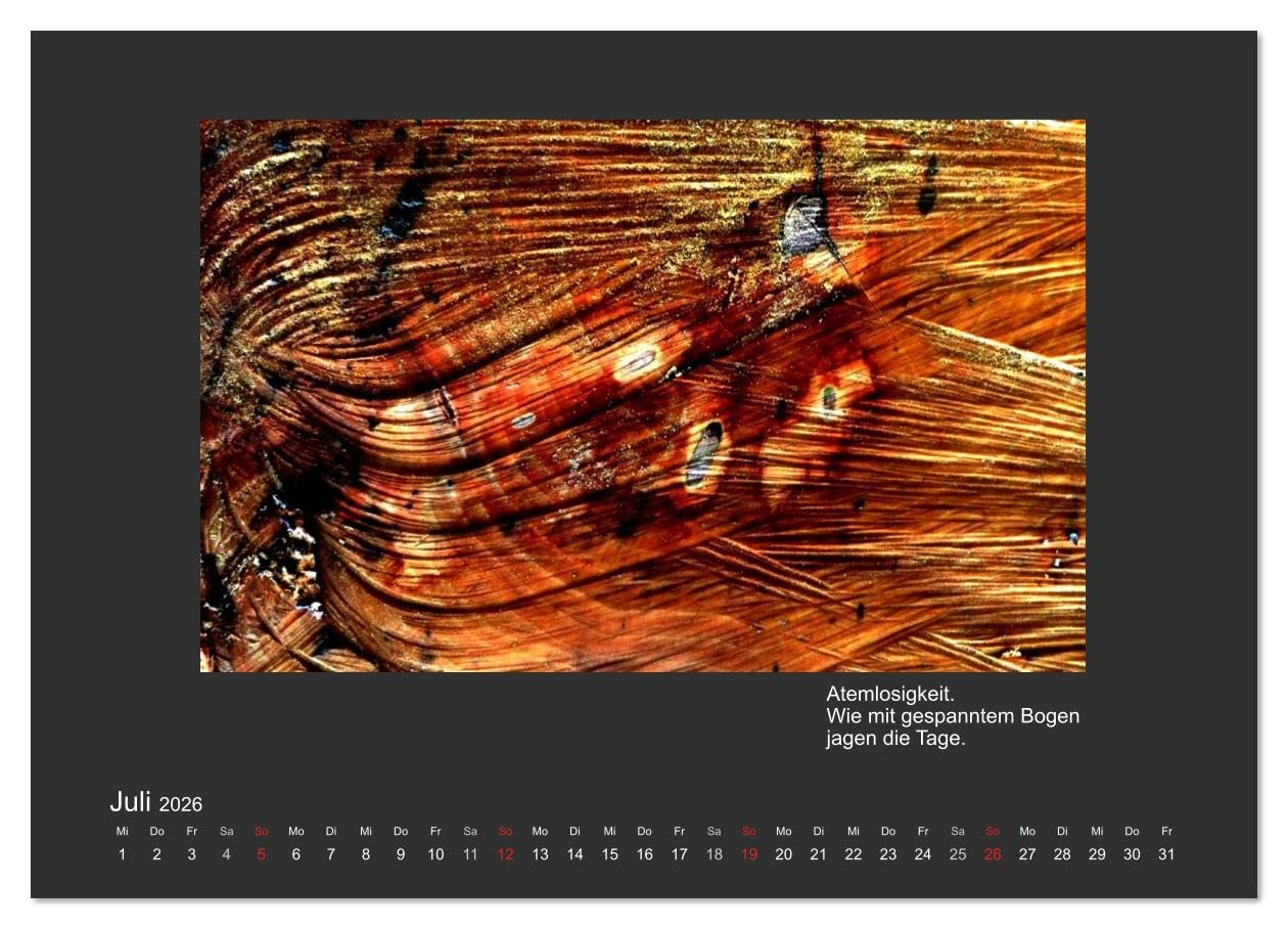 MAGIE HOLZ 2026 (hochwertiger Premium Wandkalender 2026 DIN A2 quer), Kunstdruck in Hochglanz: Holzfotografien mit Haikus (CALVENDO Natur)