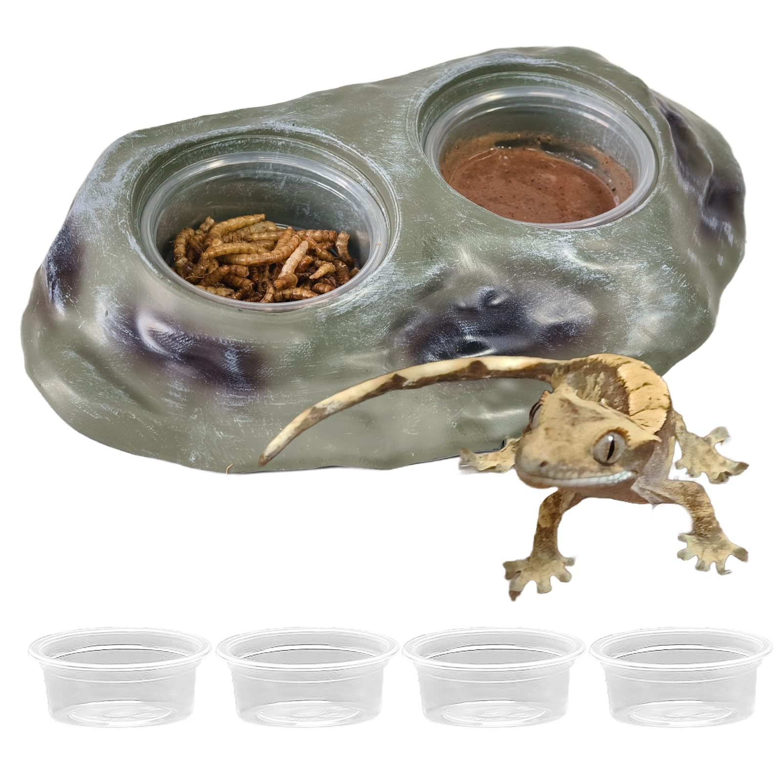 Mangeoire pour gecko et grenouilles support blanc pour terrarium