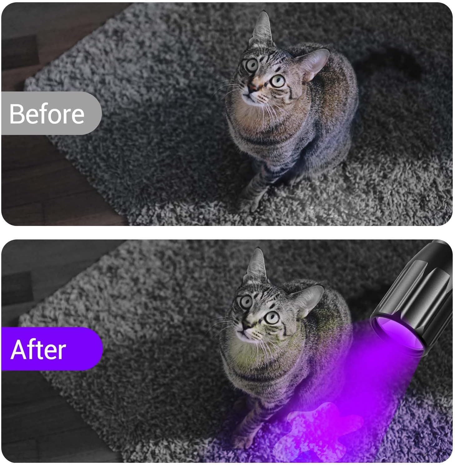 NEXTORCH 365nm UV Light Led Blacklight Flashlights Detector Ultraviolet Pocket-Size LED Torch for Pets Urine and Stains Find Stains on Carpet, Rugs 3D Printed Resin Curing Light C1UV