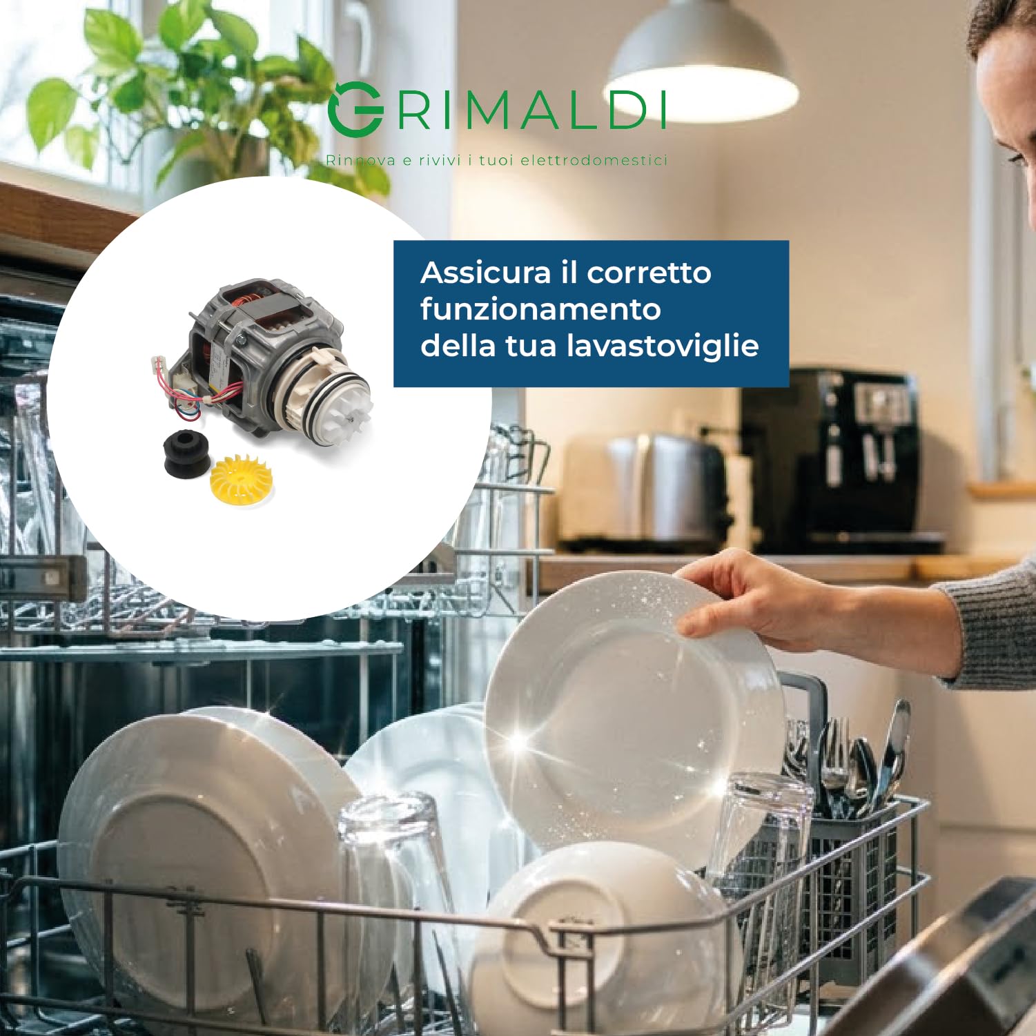 G GRIMALDI Kit Pompa Lavaggio 3+2 Pin Compatibile Electrolux Rex AEG