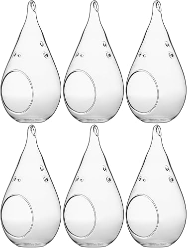 WGV Glass Hanging Plant Terrarium Bulk, Width 3.5", Height 7", Teardrop DIY Air Succulent Planter Clear Tea Light Votive Candle Holder, Wedding Event Office Home Outdoor Decor, 6 Pieces
