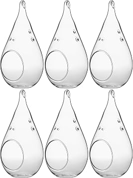 WGV Glass Hanging Plant Terrarium Bulk, Width 3.5", Height 7", Teardrop DIY Air Succulent Planter Clear Tea Light Votive Candle Holder, Wedding Event Office Home Outdoor Decor, 6 Pieces