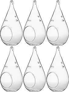 Glass Hanging Terrarium - 3x5.5 Inch Teardrop Planter For Succulents & Air Plants