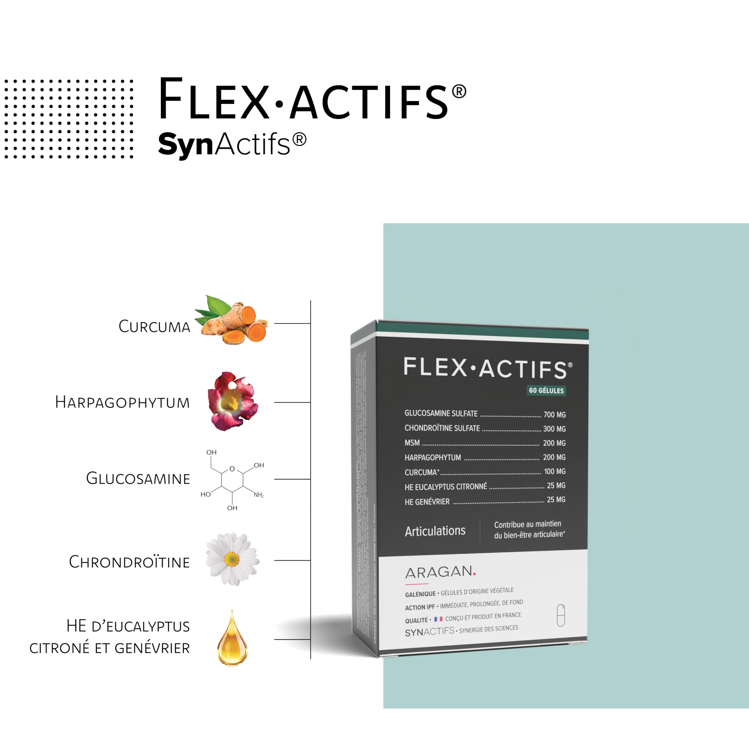 ARAGAN | Synactifs Lot de 2 Flexactifs | Complément Alimentaire Bien-Etre Articulaire | Glucosamine, Harpagophytum, Curcuma, Eucalyptus et Zinc | 120 gélules | 2 mois prise | Fabriqué en France