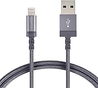 Algopix Similar Product 6 - Amazon Basics Nylon Braided Lightning