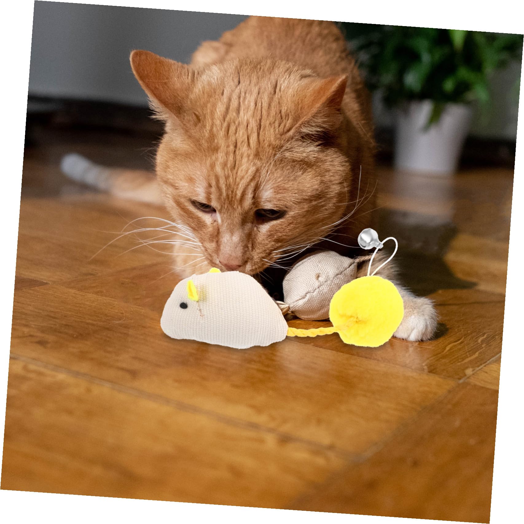 Toyvian Lot de 6 Jouets Souris en Peluche avec Clochette pour Chatons et Chats, Jouets Interactifs Vie Quotidienne, Couleurs Variées, Maintien de L'intérêt