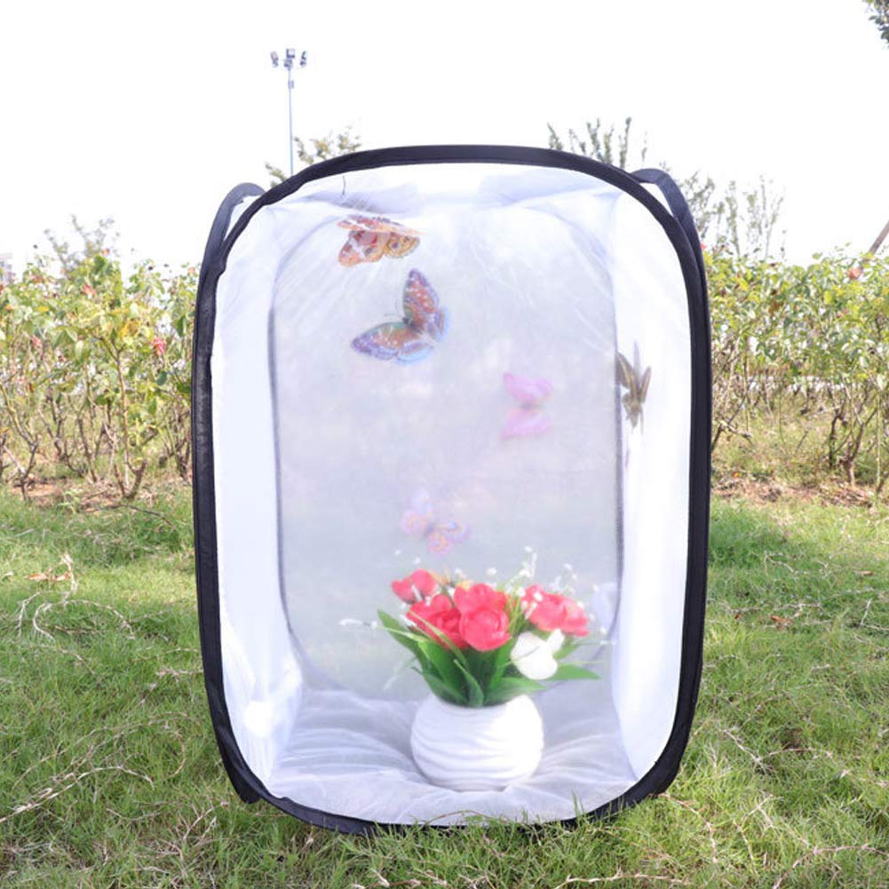 Cage à Papillons Repliables – Lot De 4 – Terrarium Filet Transparent 15x15x20 Cm – Observation Insectes – Cadeau Éducatif