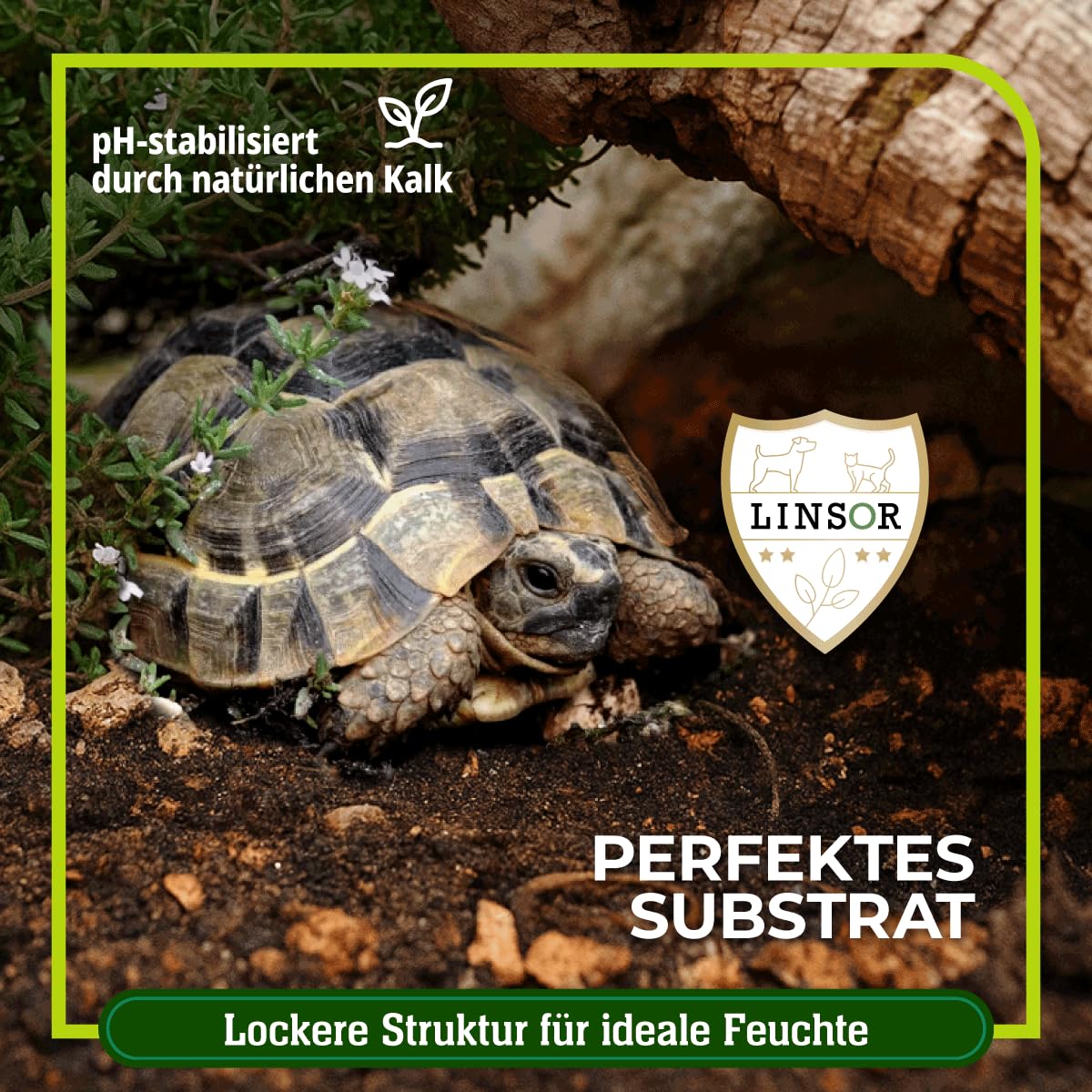 Substrat pour tortues 50 L – terre naturelle pour tortues sans engrais, à grain fin et creusable pour tortues terrestres comme terre avec structure naturelle