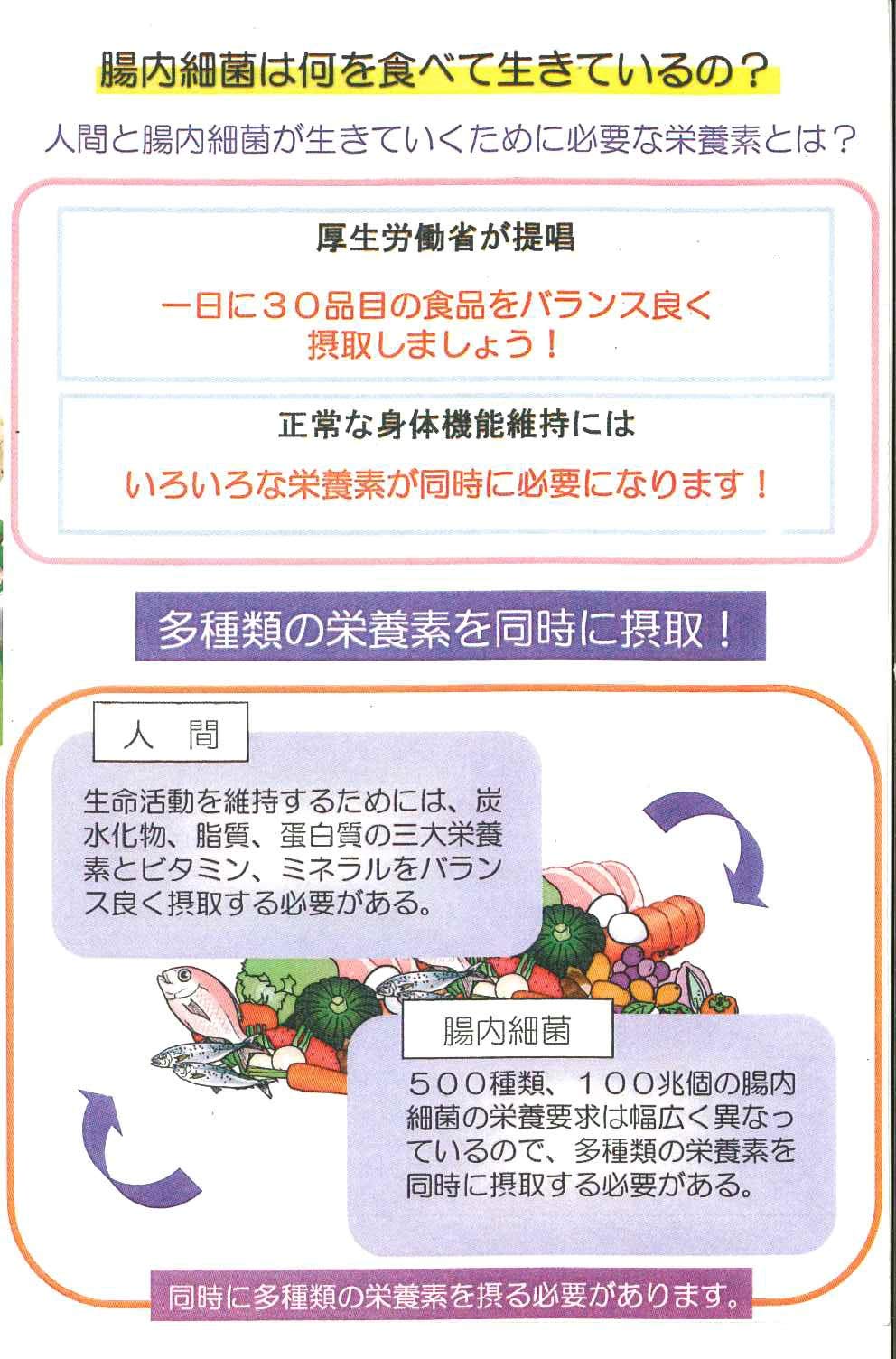 Amazon.co.jp: アミネビタクルクミンコッカス90粒入x3袋セット