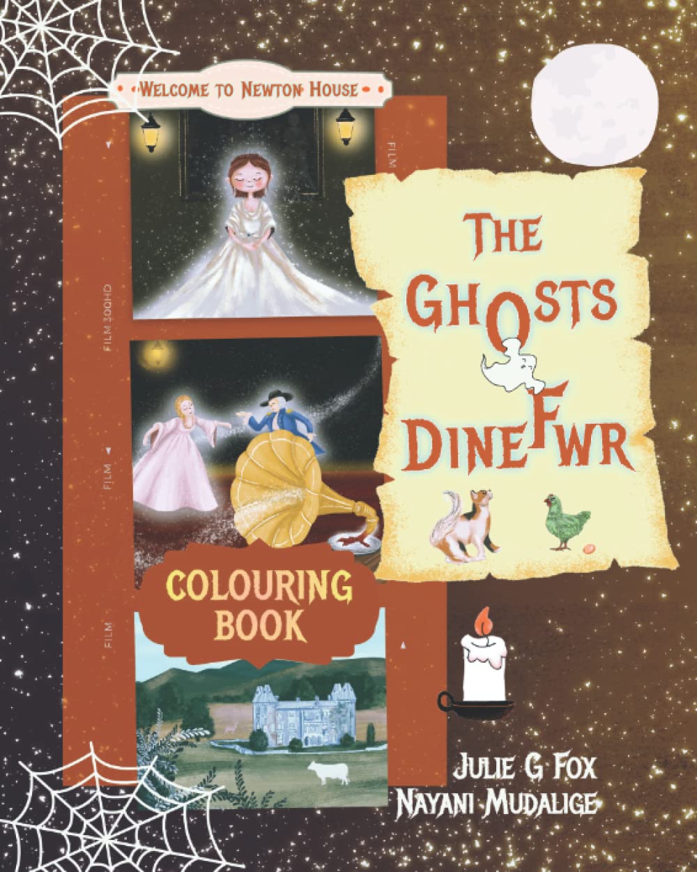 The Ghosts of Dinefwr: Colouring Book