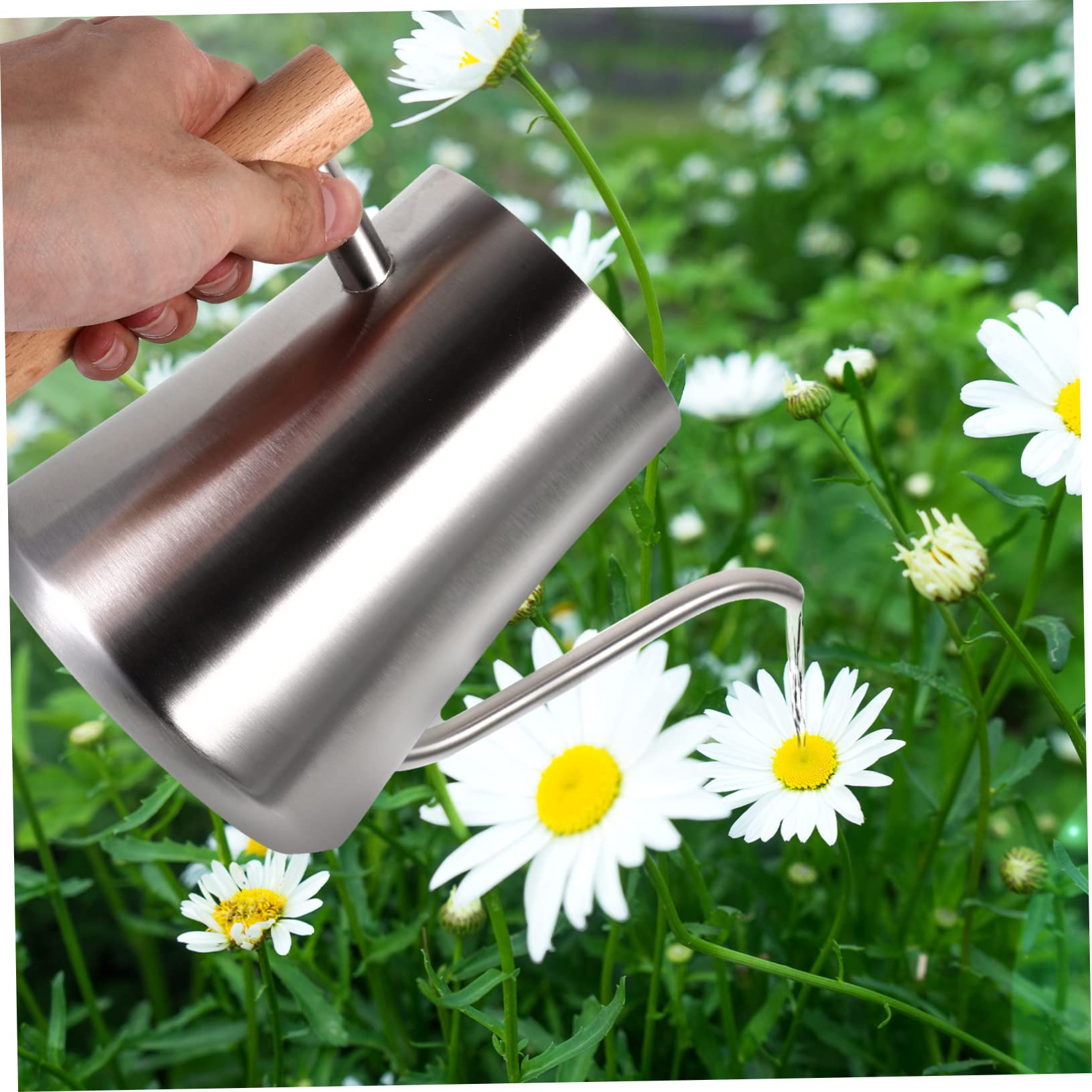 Hemobllo Annaffiatoio Inossidabile con per Annaffiare Piante e Ed Esterni Design e per Appassionati Giardinaggio