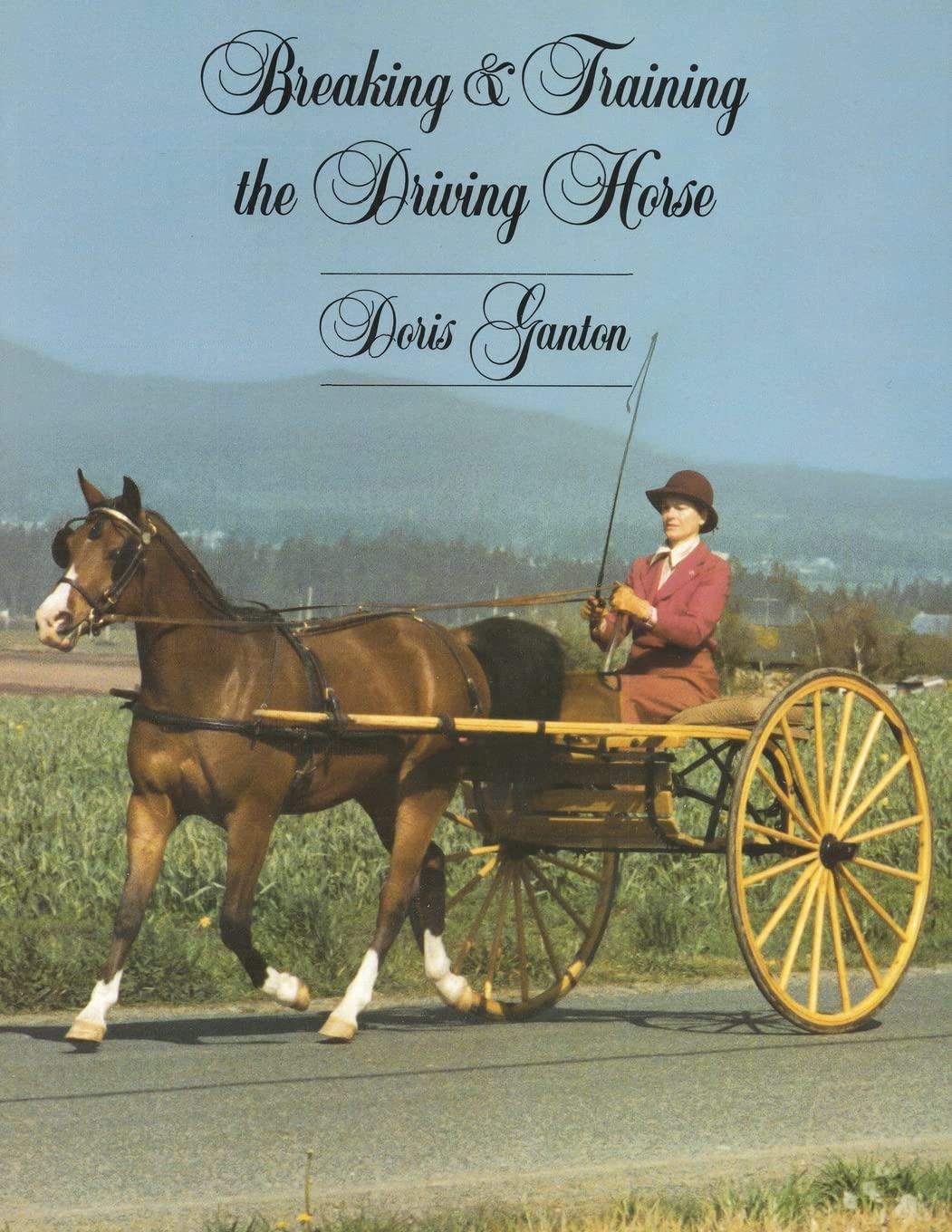 Breaking and Training the Driving Horse: A Detailed and Comprehensive Study