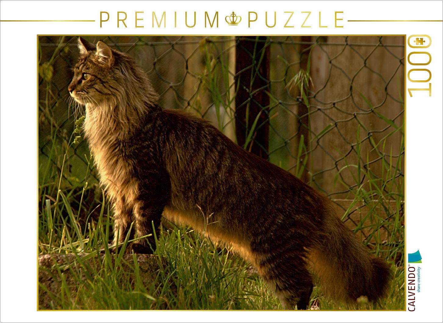 CALVENDO Puzzle Maine Coon Katze – 1000 Teile, 64 X 48 Cm