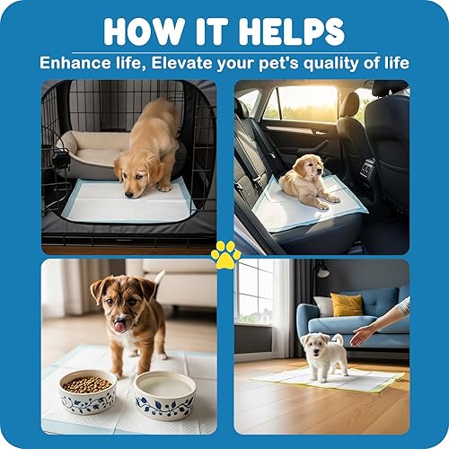 Miniatura 8 de MoMoCo Almohadillas para cachorros, 23 x 23 pulgadas, 100 unidades de almohadillas de entrenamiento desechables súper absorbentes, a prueba de