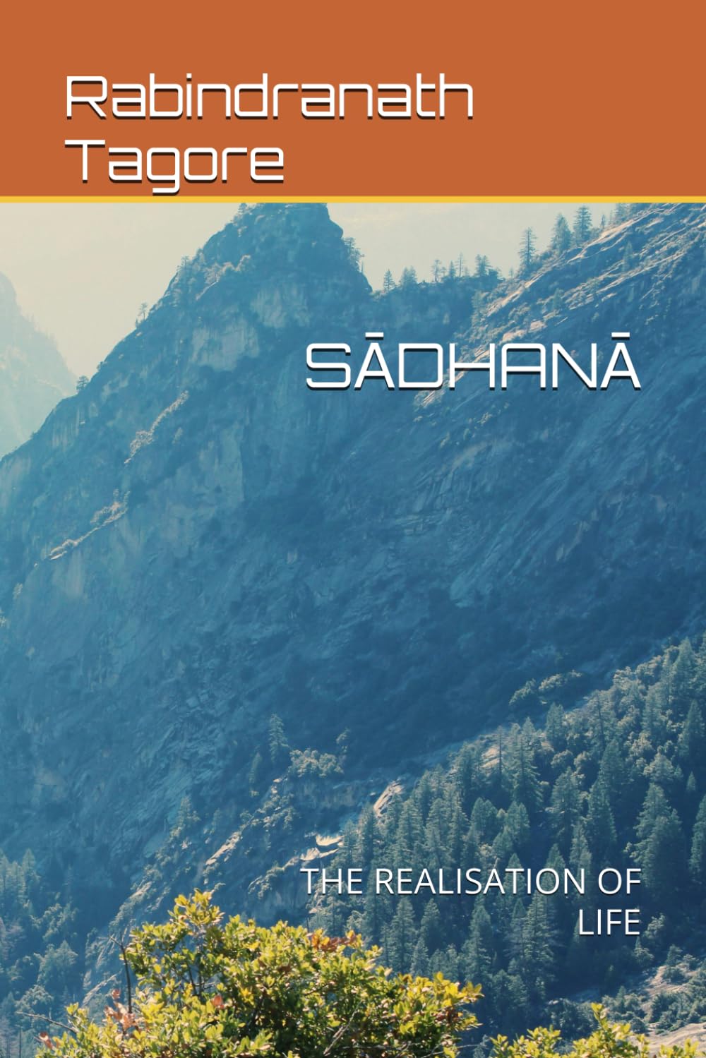 SĀDHANĀ: THE REALISATION OF LIFE
