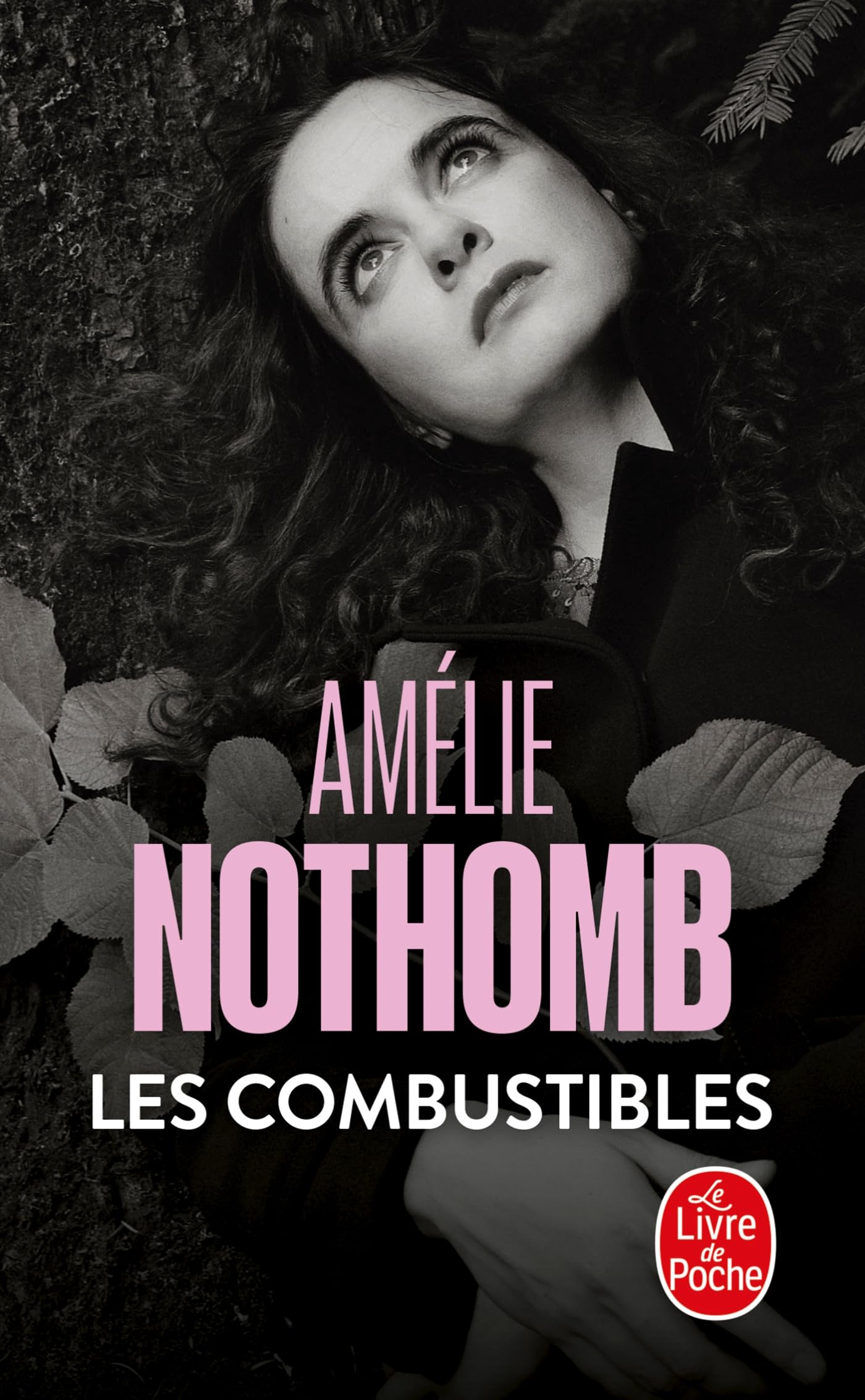COMBUSTIBLES (LES) [Pocket Book] Amelie Nothomb