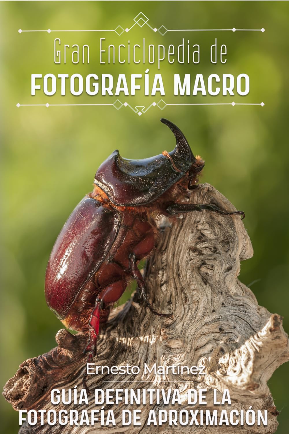 Gran Enciclopedia de la Fotografía Macro: Guía definitiva de la Fotografía de Aproximación (Guía Maestra de Fotografía)