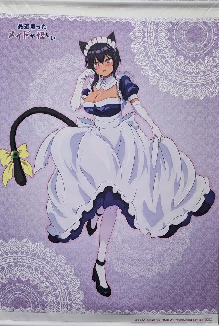Amazon.co.jp: 最近雇ったメイドが怪しいソフマップ/アニメガBD/全巻 