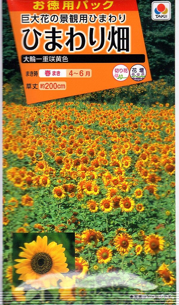 Amazon | タキイ種苗(Takii Shubyo) 徳用 ひまわり畑 大輪一重咲