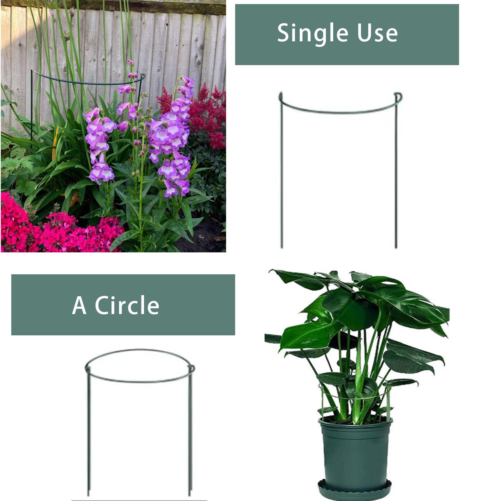 Lot de 10 piquets de support en métal pour plantes de jardin, demi-ronds pour plantes d'intérieur et d'extérieur – 30 cm x 35 cm