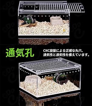 Amazon | Buccvutレプタイルボックス 爬虫類 飼育ケース 虫かご