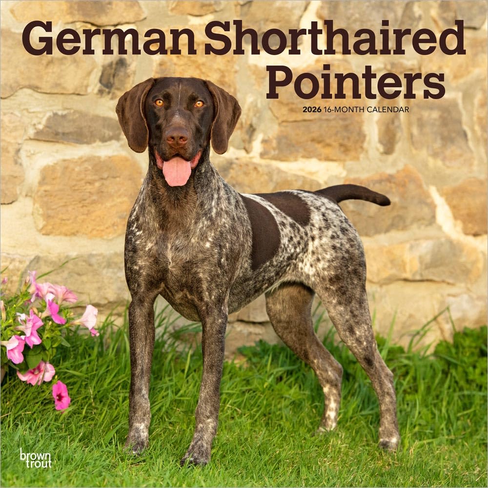 German Shorthaired Pointers - Deutsch Kurzhaar 2026 - 16-Monatskalender: Original BrownTrout-Kalender [Mehrsprachig] [Kalender]