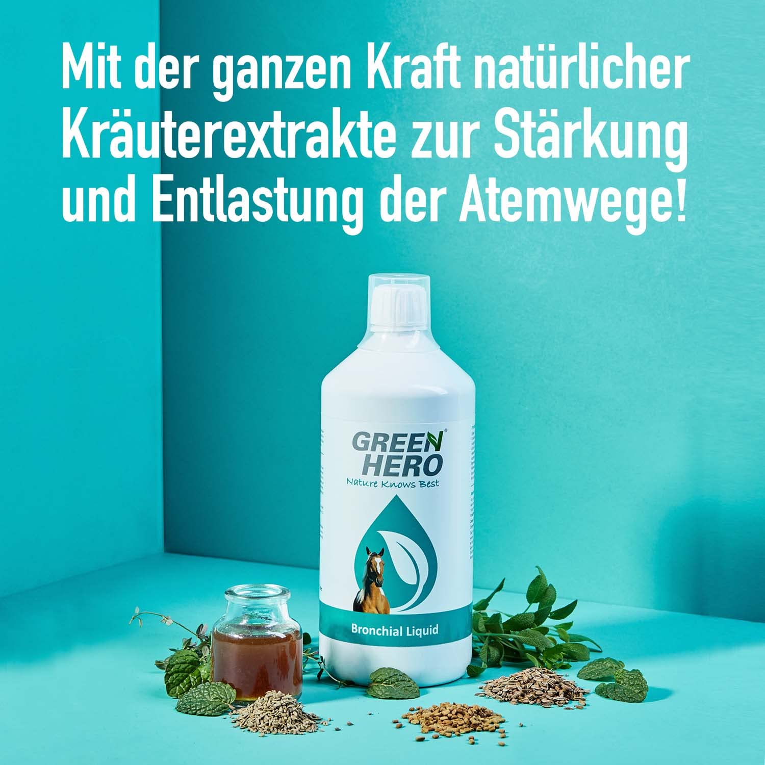 Green Hero Bronchial Liquid pour Chevaux 1000 ML – Jus d'herbes bronchiques avec extraits d'herbes de thym, fenouil et Plus – Jus bronchique avec Herbes respiratoires pour renforcer Les Voies